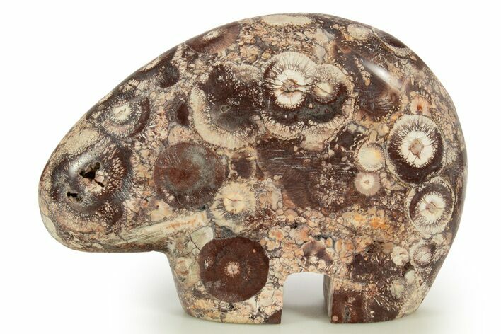 Polished Bird's Eye Jasper Bear - Mexico #344815